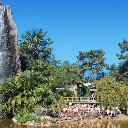 بيت للعطل 1 Bedroom Beautiful In رويا